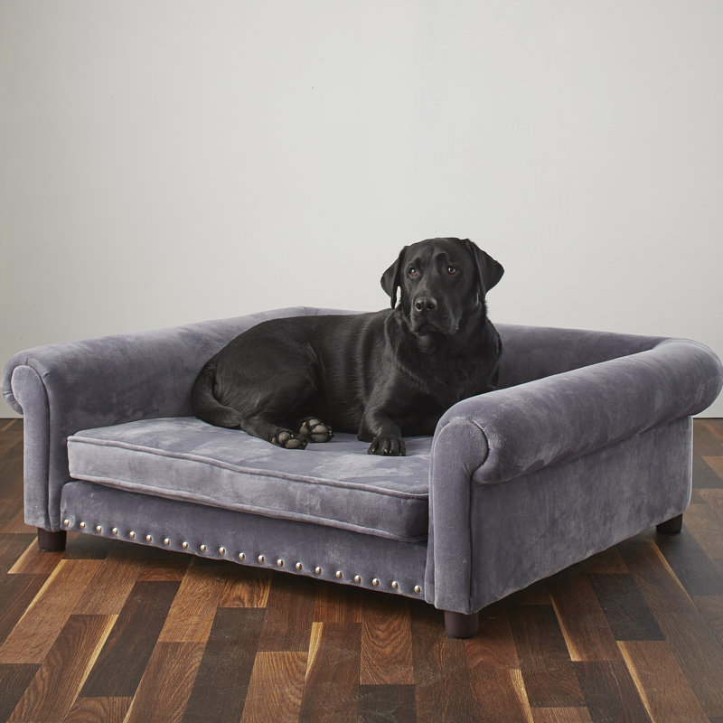 Enchanted Home Pet Jackson Dog Sofa & Reviews Wayfair